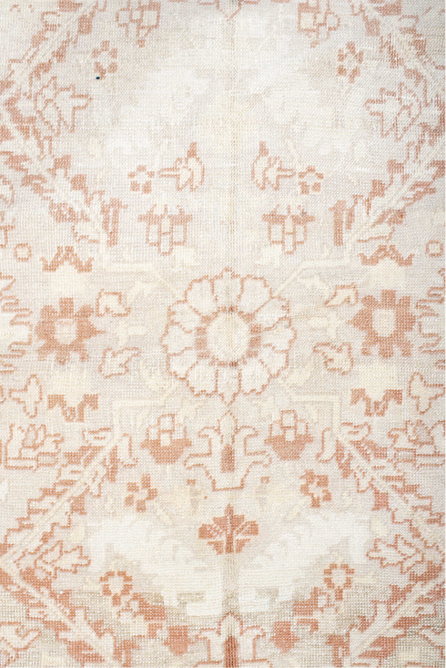 Antique Anatol Area Rug (4' x 6')